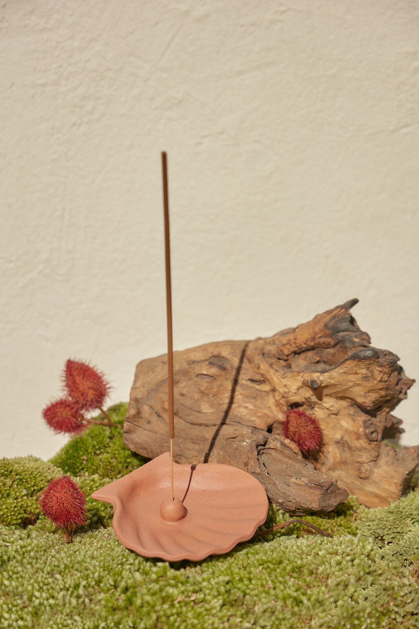SEASHELL INCENSE HOLDER IN CORAL